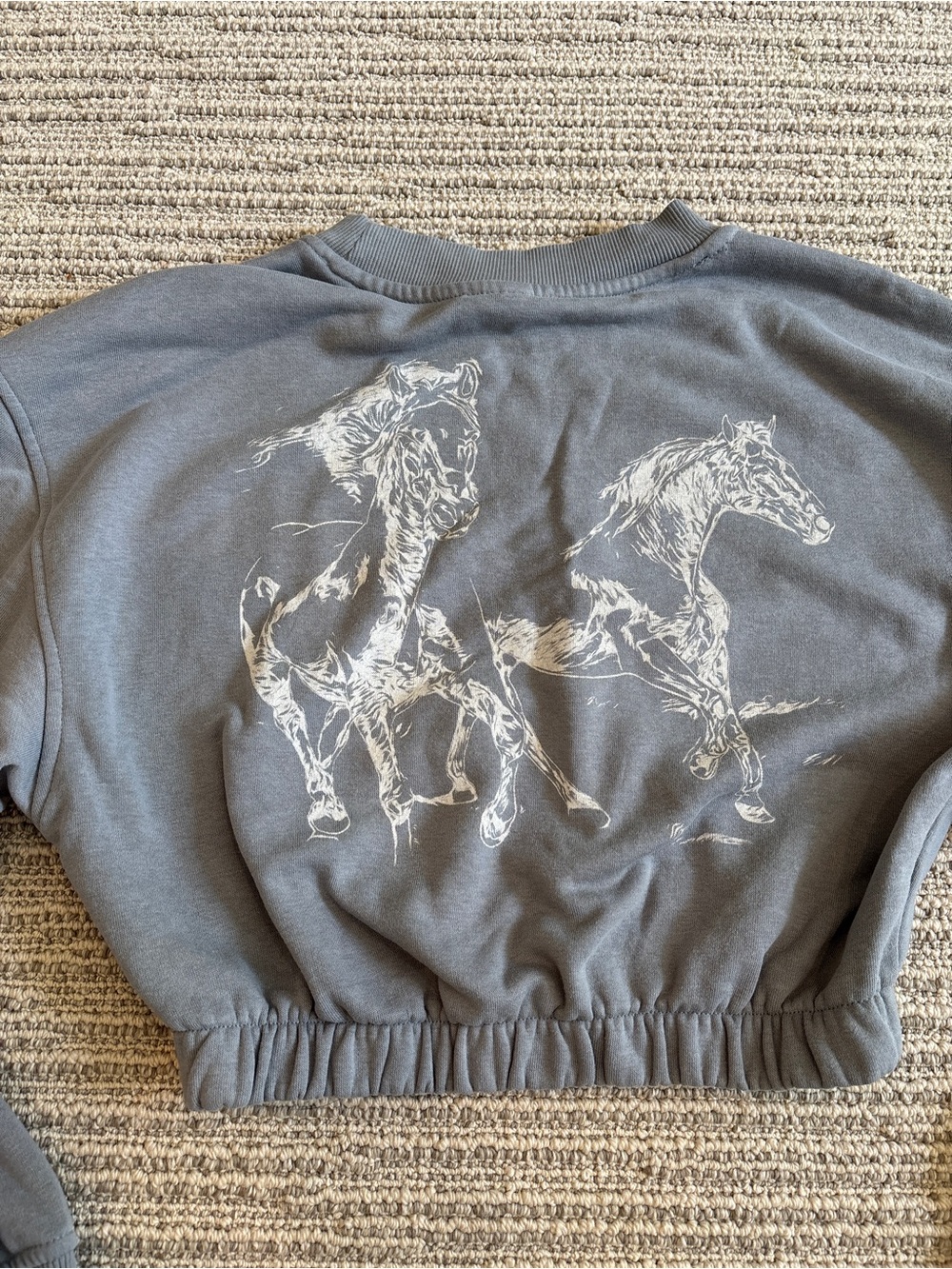 Divided Gray Cropped Sweatshirt with White Horse Print